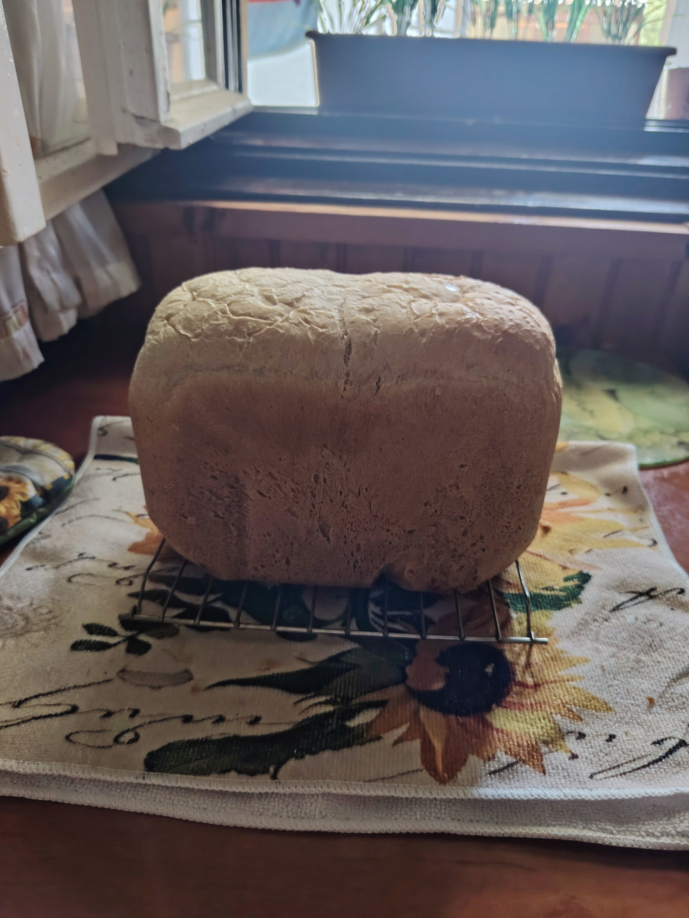 ParasztKenyér Sütőkeverék, Lisztkeverék 1kg
